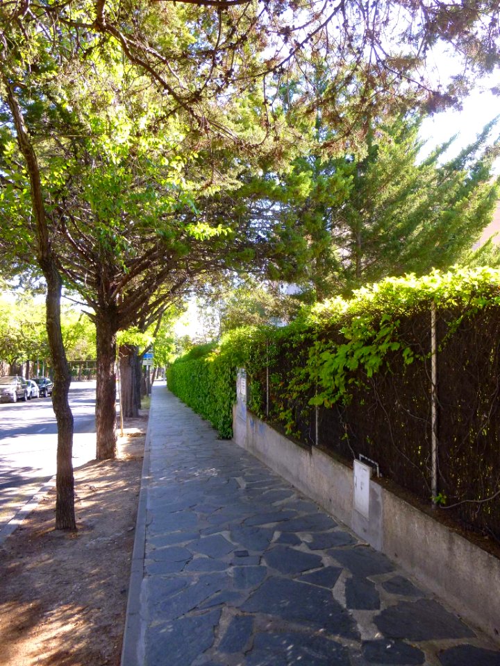Alcobendas - Urbanización La Moraleja 15