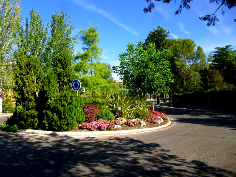 Alcobendas - Urbanización La Moraleja 21