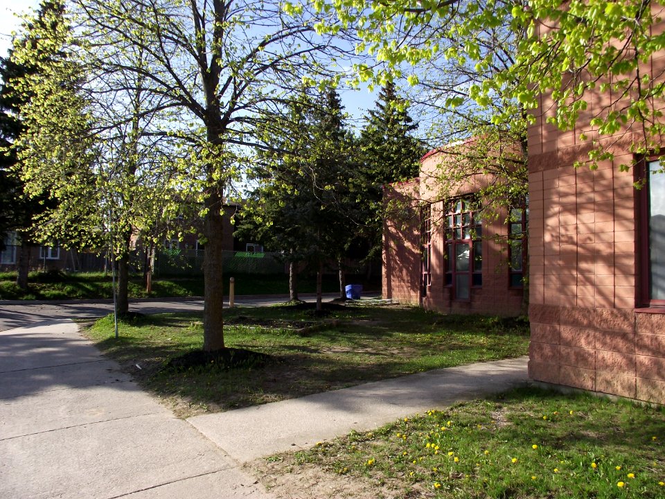 Aldergrove Public School, May 2018 (6)