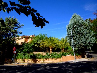 Alcobendas - Urbanización La Moraleja 23