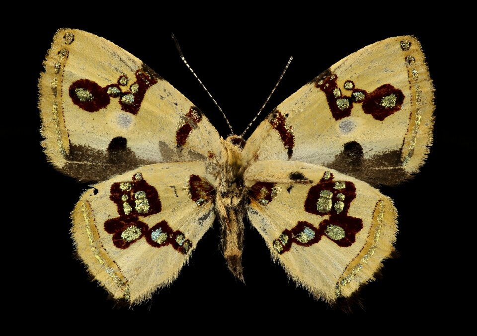 Close up underside nature