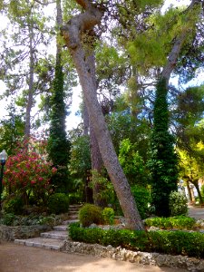 Alcoy - Parque de La Glorieta 01