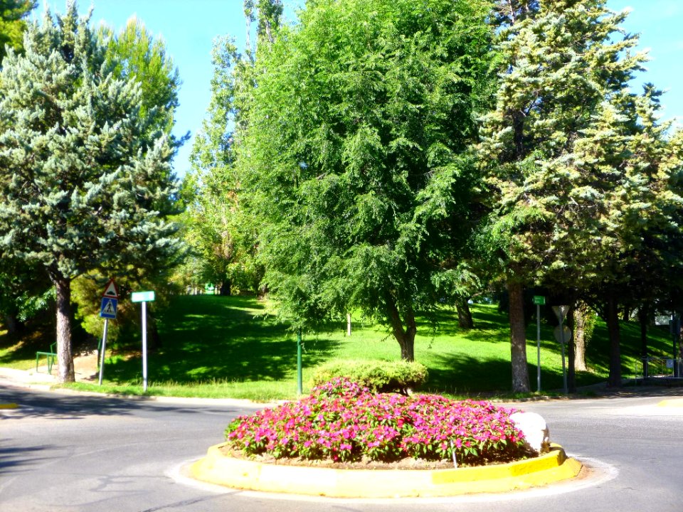 Alcobendas - Urbanización La Moraleja 25