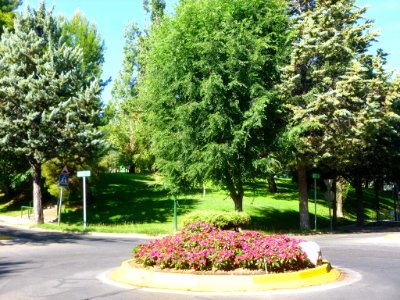 Alcobendas - Urbanización La Moraleja 25
