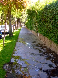 Alcobendas - Urbanización La Moraleja 17