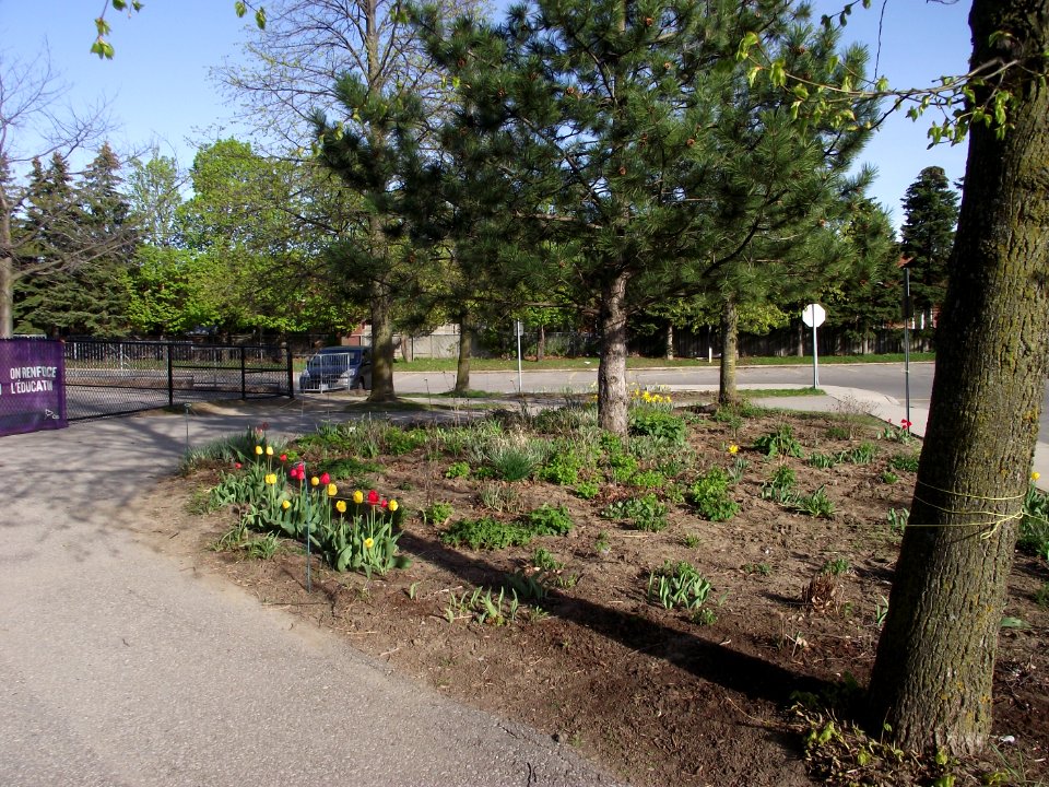 Aldergrove Public School, May 2018 (14)