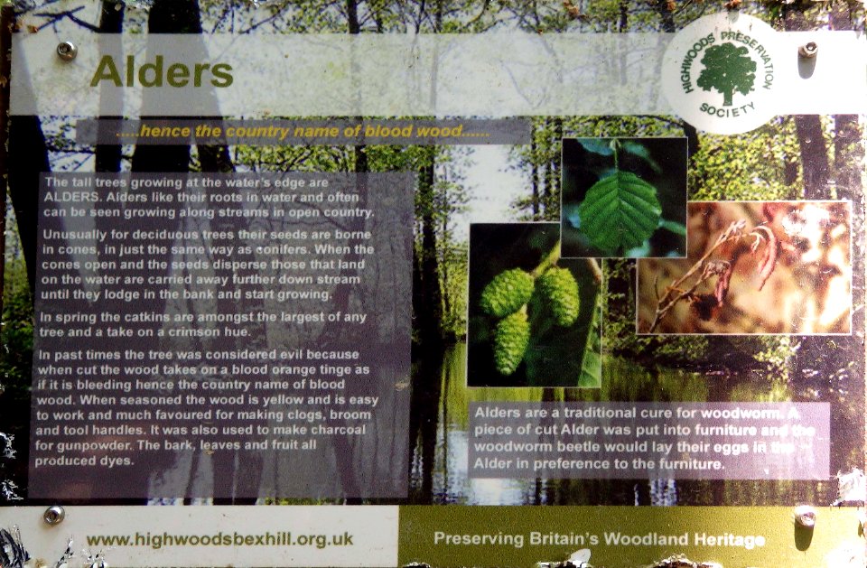Alders Information Board, Highwoods, Bexhill-on-Sea