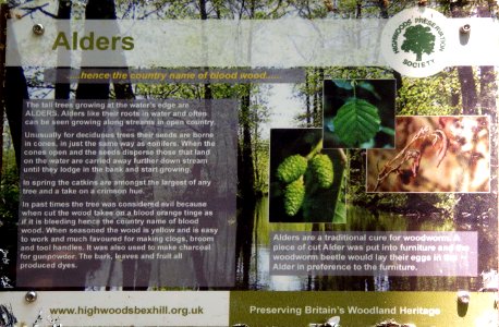 Alders Information Board, Highwoods, Bexhill-on-Sea