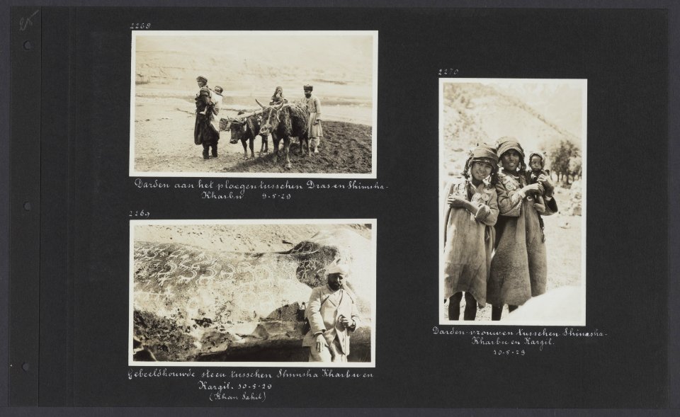 Albumblad met drie fotos, Linksboven inheemse bewoners aan het ploegen tussen , Bestanddeelnr 32 051