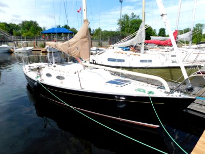 Alerion Express 28 sailboat Cogito 4725