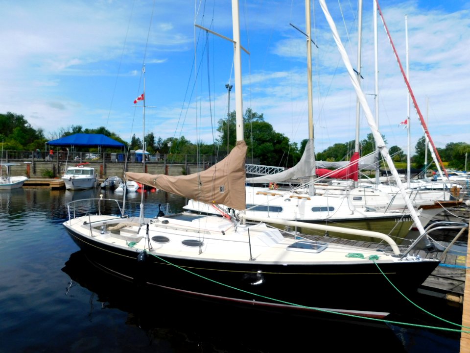 Alerion Express 28 sailboat Cogito 4726