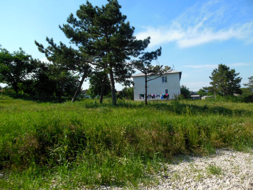 Aleksandrovka Bel 3
