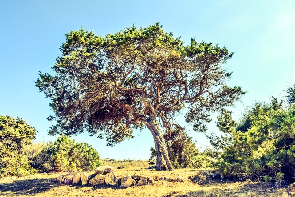 Landscape nature nature landscape
