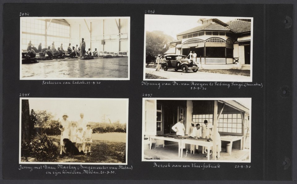 Albumblad met vier fotos. Linksboven sorteren van tabak op Sumatra rechtsbove, Bestanddeelnr 34 84