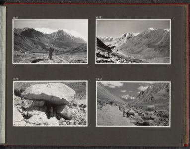 Albumblad met vier fotos. Linksboven Jenny Visser-Hooft te paard. Rechtsboven, Bestanddeelnr 39 31
