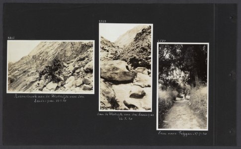 Albumblad met drie fotos. Links rozenstruik aan de westzijde van de Sasir-pas, Bestanddeelnr 34 52