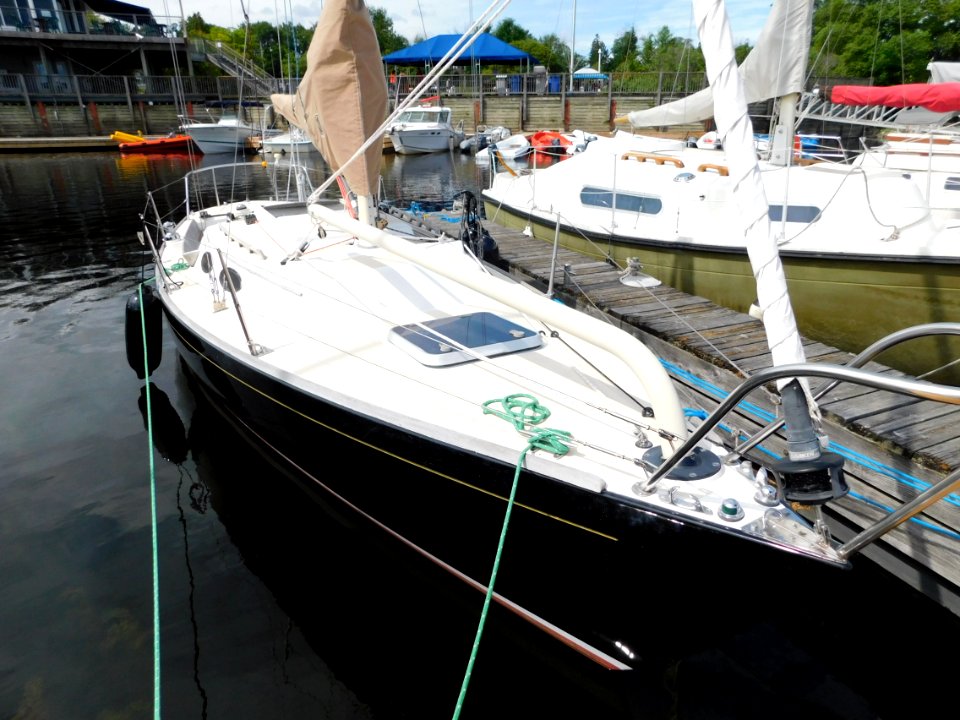 Alerion Express 28 sailboat Cogito 4729
