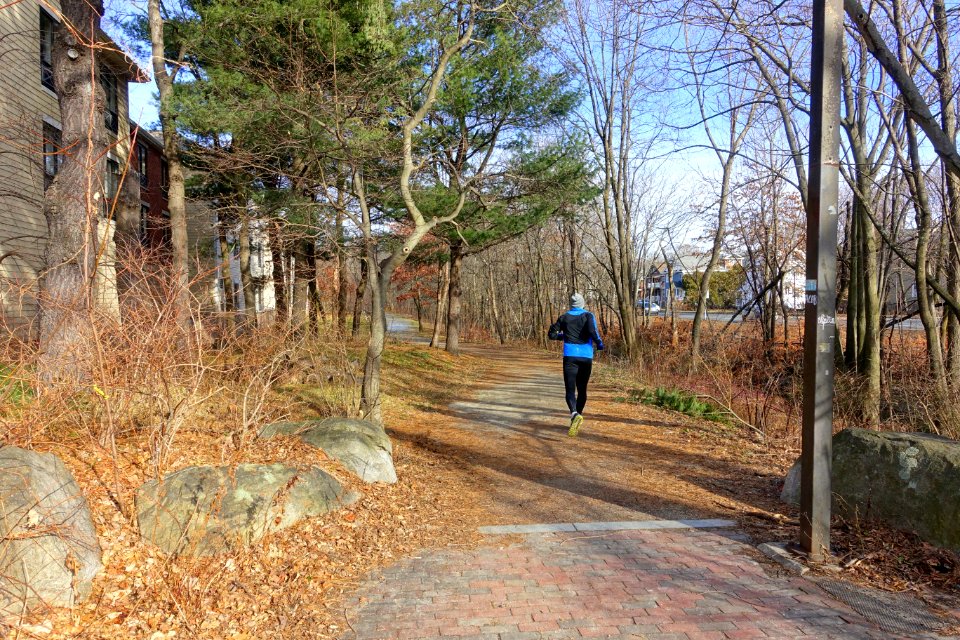 Alewife Greenway Path - Arlington, MA - DSC03825