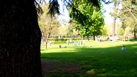 Alessandrina Ravizza Park Spring 2018 (255819345)