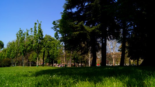 Alessandrina Ravizza Park Spring 2018 (255819311)