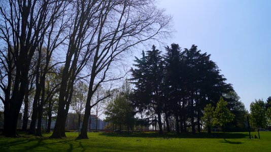 Alessandrina Ravizza Park Spring 2018 (255819239)