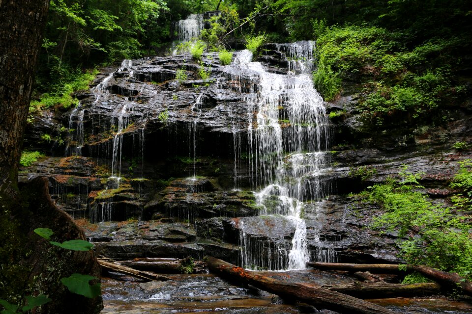 Nature south carolina landscape