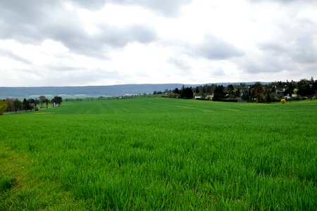 Field spring vision photo