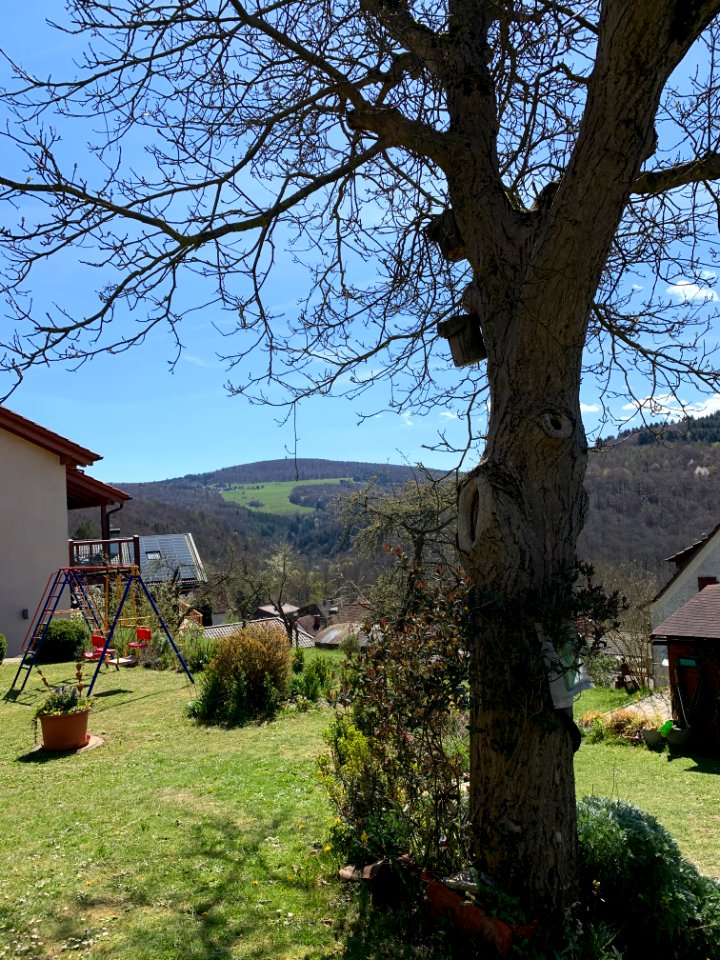 Altweilnau, Blick auf Pferdskopf