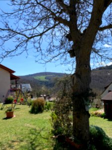 Altweilnau, Blick auf Pferdskopf