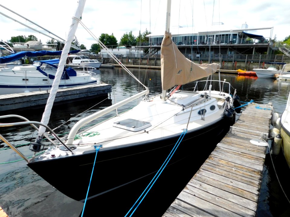 Alerion Express 28 sailboat Cogito 4731