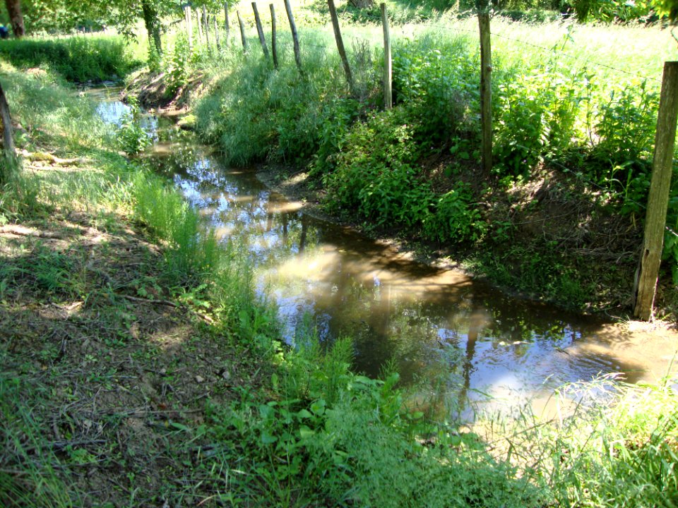 Aluze (Saône-et-Loire, Fr) la Thalie près de sa source à Eutonnoir