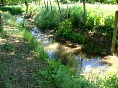 Aluze (Saône-et-Loire, Fr) la Thalie près de sa source à Eutonnoir