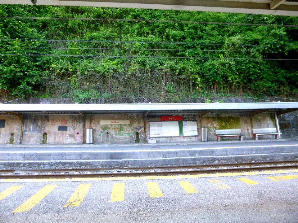Alegia - Estación de Alegría de Oria 1