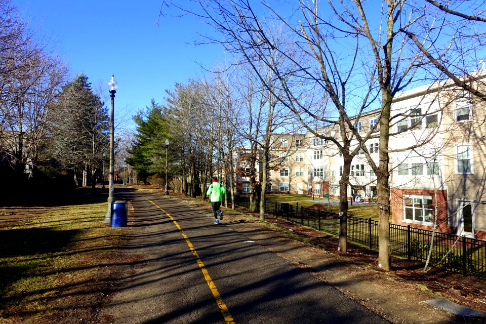 Alewife Linear Park - Cambridge, Massachusetts - DSC09184