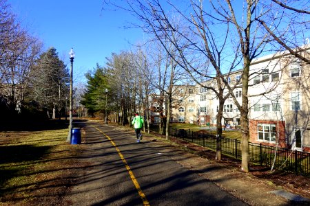 Alewife Linear Park - Cambridge, Massachusetts - DSC09184
