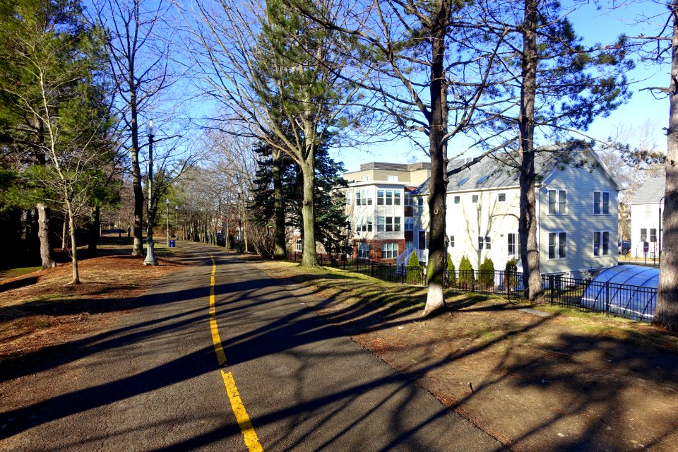 Alewife Linear Park - Cambridge, Massachusetts - DSC09185