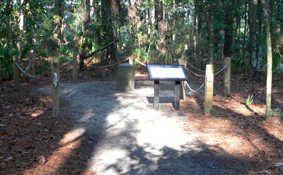 Alexander Bache Survey Line W marker 1