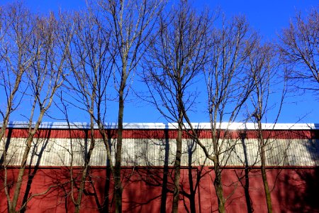 Alewife Linear Park - Cambridge, Massachusetts - DSC09183