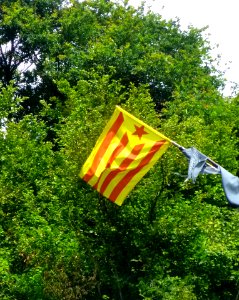 Alegia - Estelada
