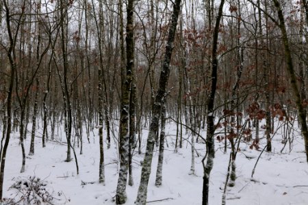 Alte Dorfstelle Ferch with snow 2021-02-07 13