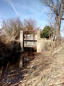 Alte Bach, Wehr bei Friedrichstal