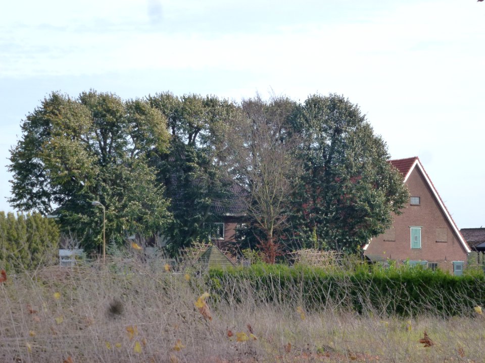 Alverna (Wijchen) De Moetselaarshof, Graafseweg 304-304A, boerderij met aangebouwde schuur