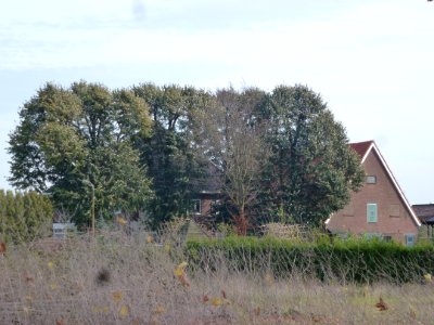 Alverna (Wijchen) De Moetselaarshof, Graafseweg 304-304A, boerderij met aangebouwde schuur