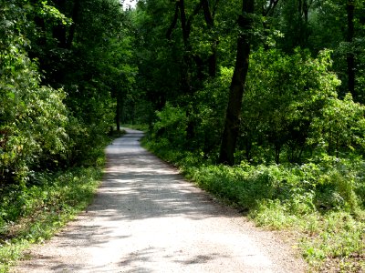 Alte Spandauer Poststraße Grunewald 2019-07-01 07