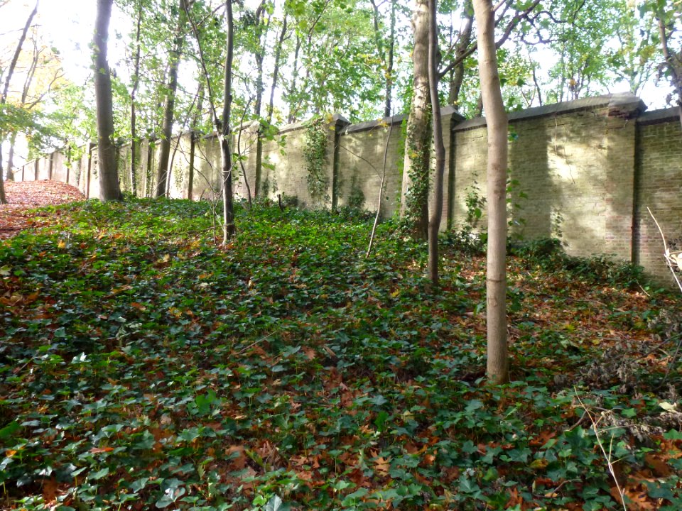 Alverna (Wijchen) Fransciscanenklooster, muur (03) nabij Valendrieseweg