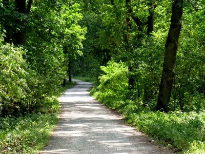 Alte Spandauer Poststraße Grunewald 2019-07-01 03