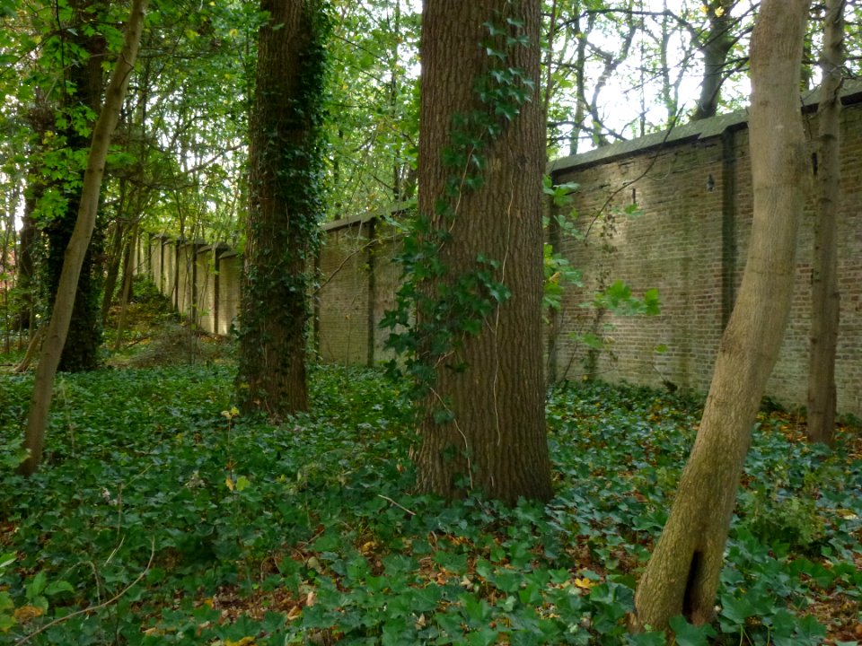 Alverna (Wijchen) Fransciscanenklooster, muur (02) van Leemweg naar Valendrieseweg