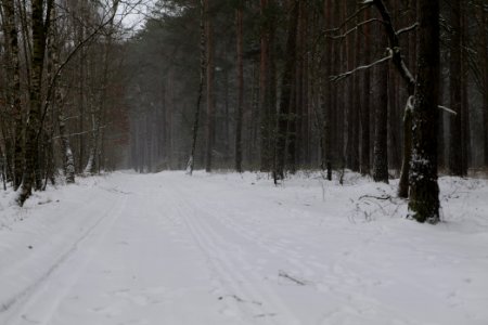 Alte Dorfstelle Ferch with snow 2021-02-07 07