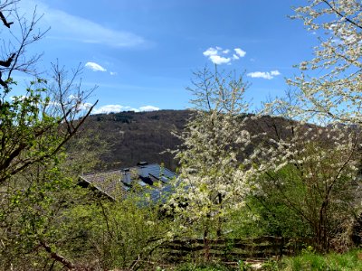 Altweilnau, Blick auf Berg Wolfsküppel