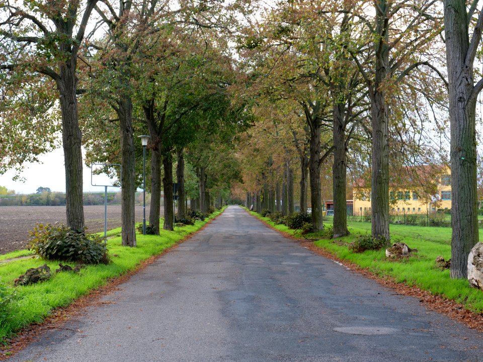 Alte Bahnhofstraße Großbeeren on 2019-11-05 08